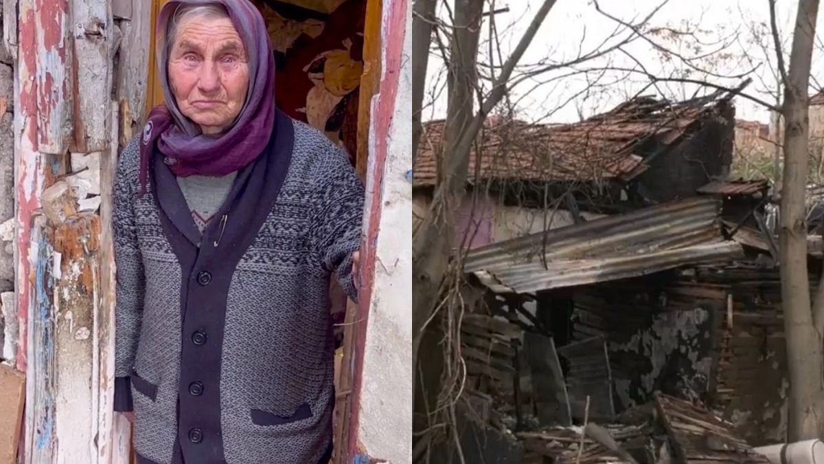 Sokak hayvanlarına sahip çıktı diye hedef gösterilmişti: Aynı gün evindeki yangında öldü